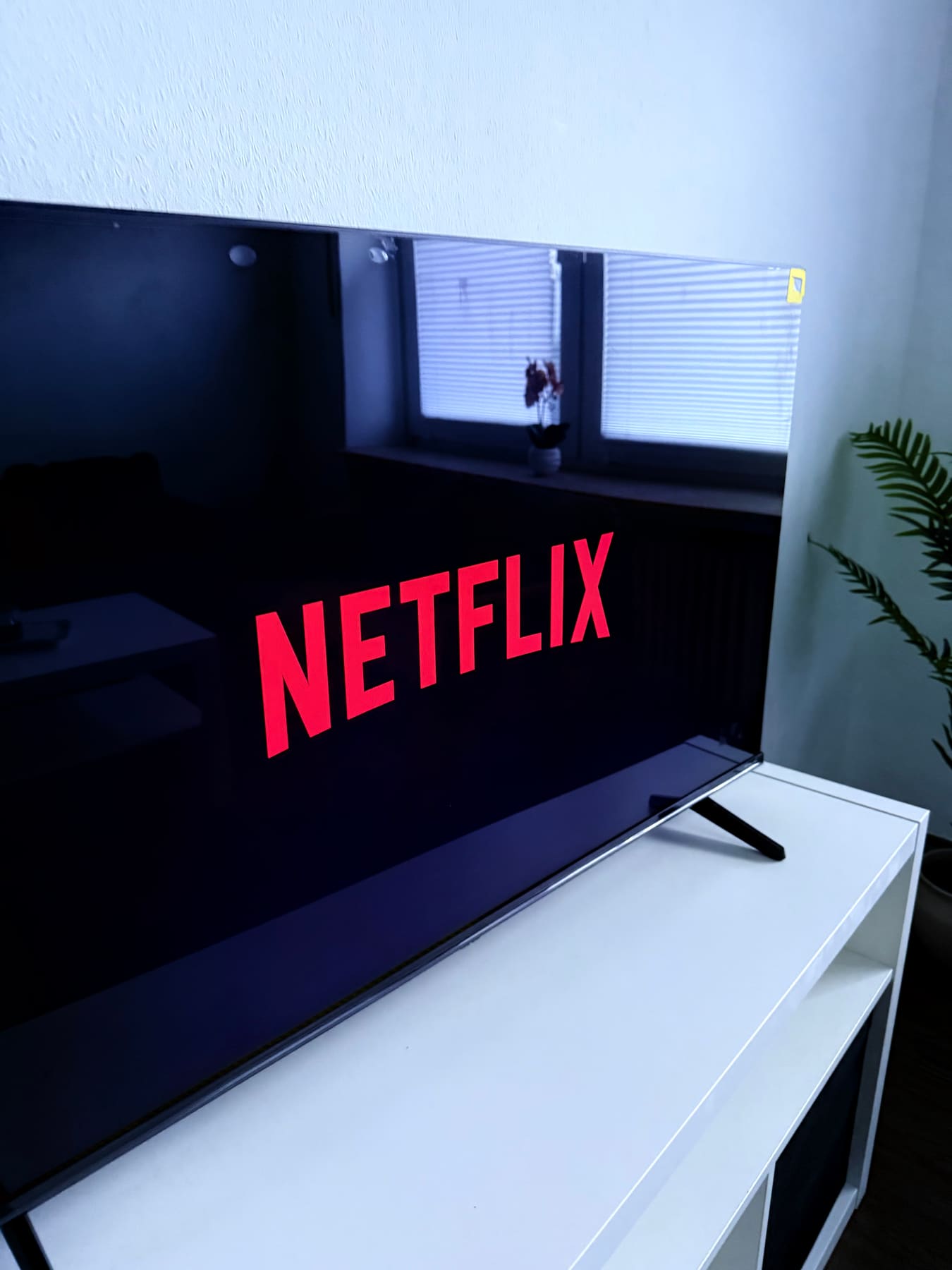 Smart-TV mit Netflix im Wohnzimmer